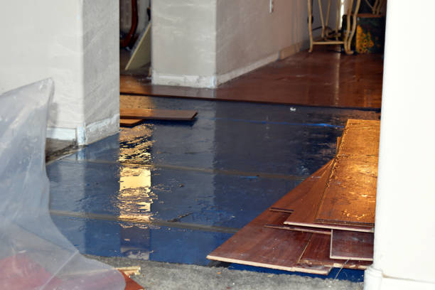Professional Water Damage technician working in Wallisville, TX